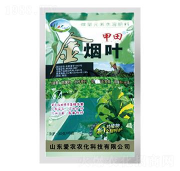 ���~-����-�и�����