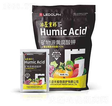 �V��Դ�S�����-��ī�ز�-������