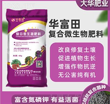 ��(f��)��΢�������-�A����-���A�ʘI(y��)