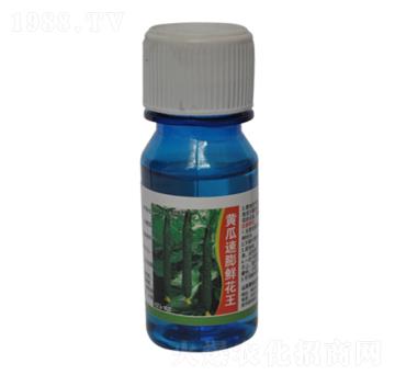 黃瓜速膨鮮花王-農(nóng)伯樂(lè)