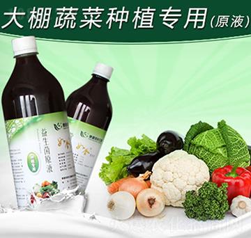 �������߲˷Nֲ��(zhu��n)��������ԭҺ-�G������