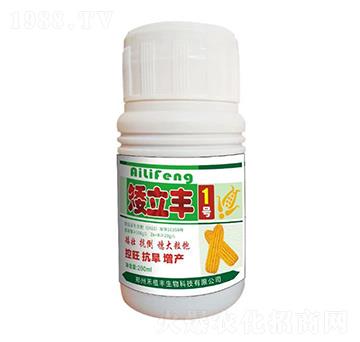 �����S1̖(h��o)-��ֲ�S