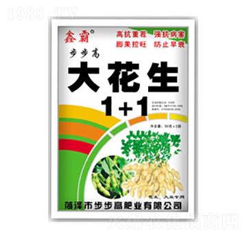 ����1+1-������-�ΰ�-�����߷ʘI(y��)