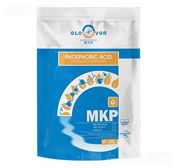 �W����������-�W�m��