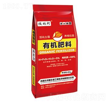 �ЙC����-������-��������