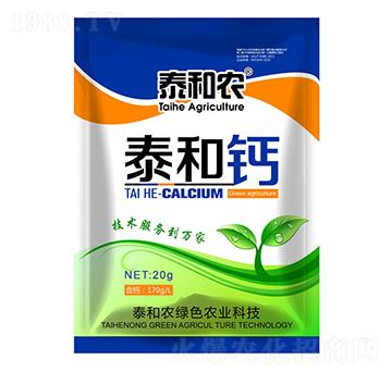 20g̩���}-������r