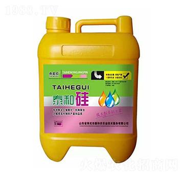 ̩�͹�-������r