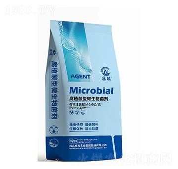 腐植酸型微生物菌劑-瀟城-格尚優(yōu)選