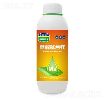 �Ǵ������V-�пƝ����S