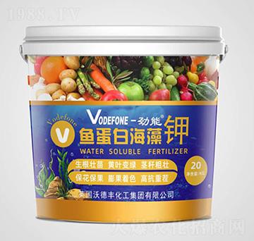 �~(y��)���׺����-����-�\(ch��ng)������