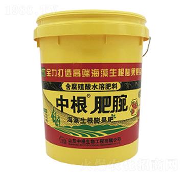 �и�������-�и�����