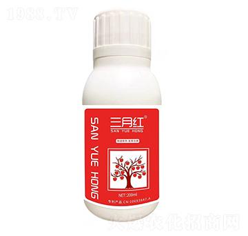 ���¼t-��ķ��