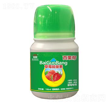 草莓能量素-百果幫-瑞森嘉禾