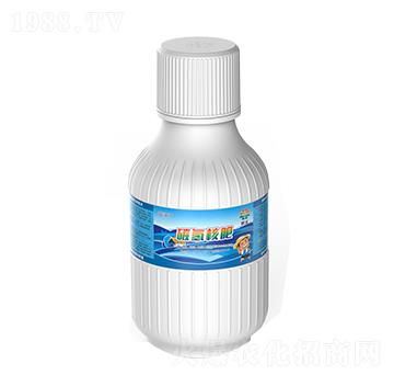 ̼��˷�-�{���T-̼�R�r�I(y��)