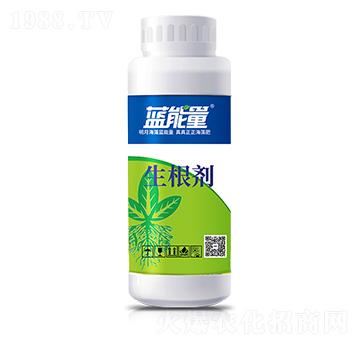 ƿ�b������-�{(l��n)����