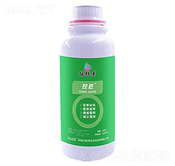 �ؽ�-�u�X������