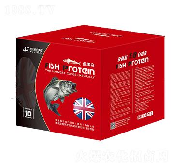 �~���׷�-�����R