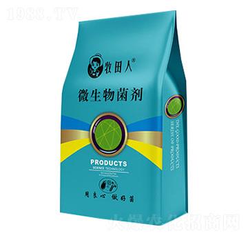 ֲ��I�B(y��ng)��-������EM��-��̩����