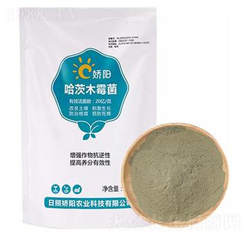 ����ľù��-���S����