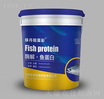 ø�⡤�~����-�G��ꖲ˲�