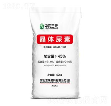 ���w����-���r����