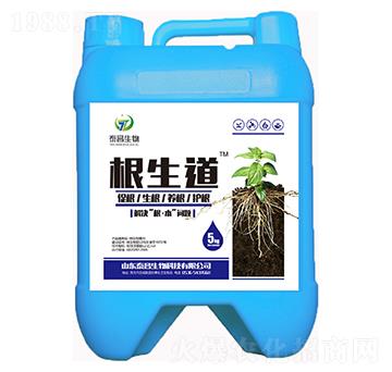 ΢�������-������-̩������