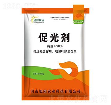 �ٹ℩-����r�I(y��)