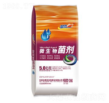 ΢���������5�|�����-���L����