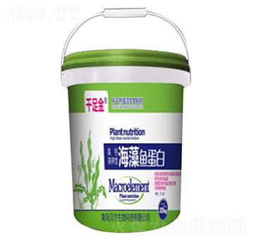 �����~(y��)����Ͱ��-ǧ���