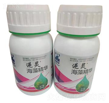 ���徫�A-���`-������