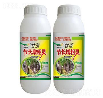 ���ṝ(ji��)�L(zh��ng)���ַ�-���a����