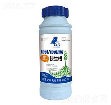 荷?？焐?史利夫