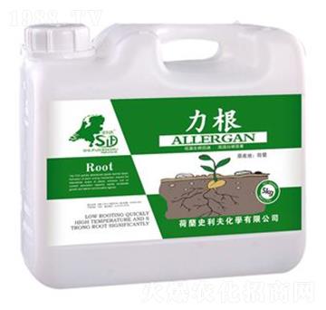力根-荷牛-史利夫