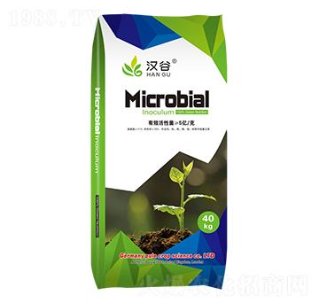 5�|΢�������-�h��-�՘�(l��)����