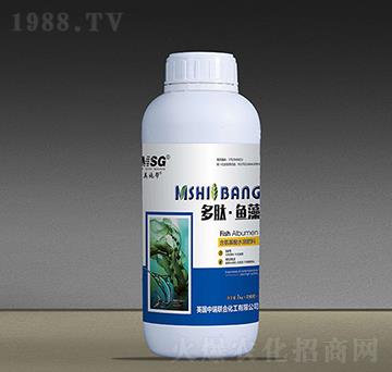 �����~��-��ʩ��-������