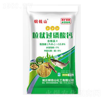 �����^(gu��)�����}-�~�X(qi��n)ɽ-���S����