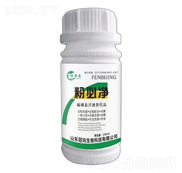 �۱؃�-���Ϙ�-�ڬ�����