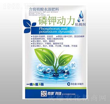 ����ֲ��ˮ�ܷ���-��⛄���-ِ�����