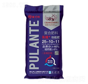 �ͺϷ���25-10-11-���m��-���m��