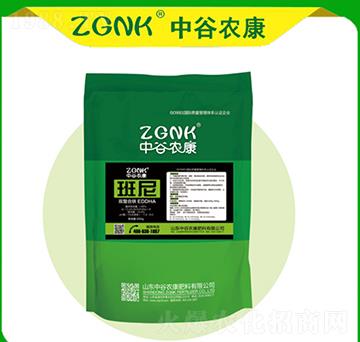 �p�����F-����-�й��r��