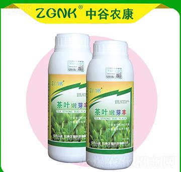 ���~��ѿ�S-�й��r��