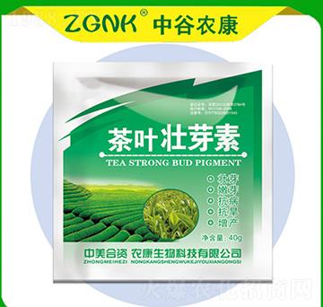 ���~��ѿ��-�й��r��