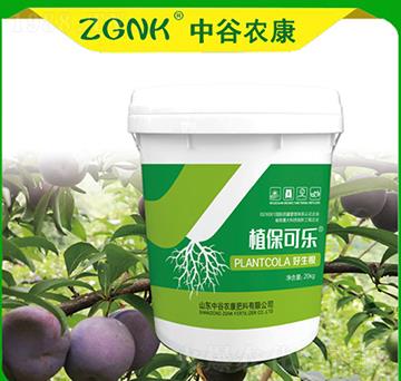 ������-ֲ���ɘ�-�й��r��