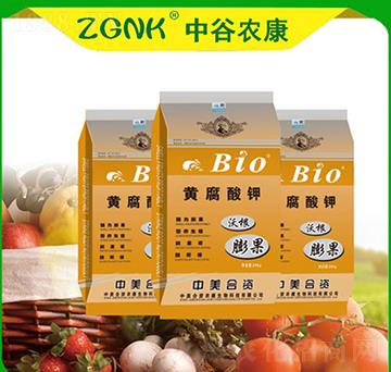 �ָ�����S�����-�й��r��