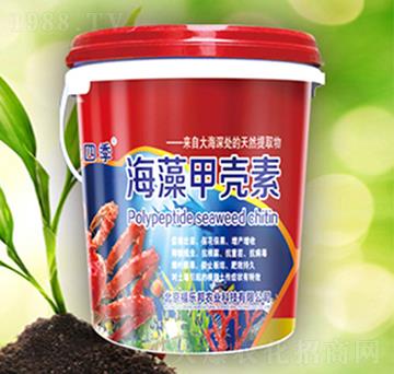 ����ך���-������