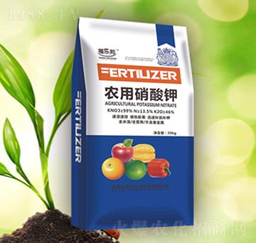 �r�������-������