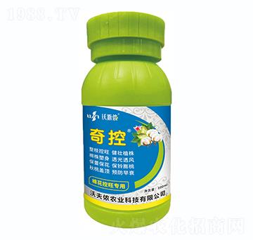 �޻���������-���-�ַ�z