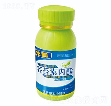 �|̦�؃���-���n-�ַ�z