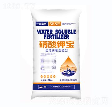 ����⛌�-һ������