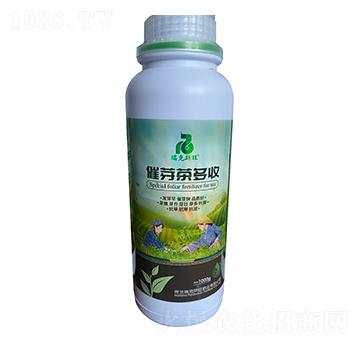 ��ѿ�����-���˹��